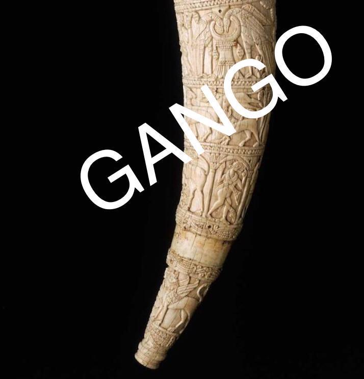 Sooninkara Buutu Déclaration de Solidarité aux Victimes de Diandjoume