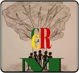 DÉCLARATION du CCRM Europe et USA