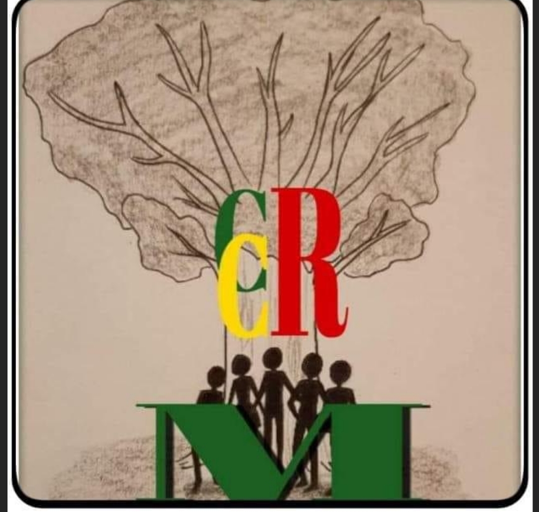 Affaire Souvi Ould Djibril Ould Cheïne  DÉCLARATION du CCRM Europe et USA